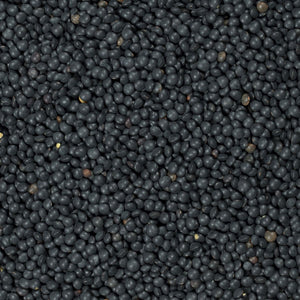 Organic Black Beluga Lentils / lb.