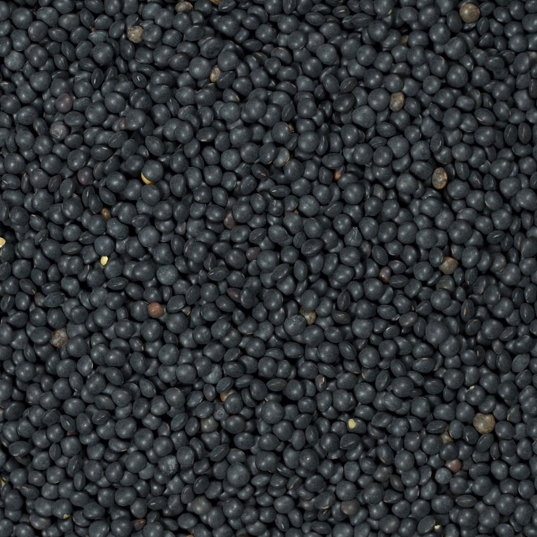 Organic Black Beluga Lentils / lb.