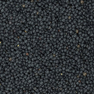 Organic Black Beluga Lentils / lb.