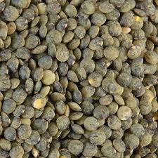 Organic French Green Lentils / lb.