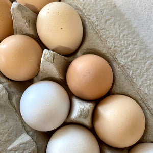 Organic Eggs, Large+ / dozen