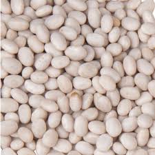 Organic Navy Beans / lb.