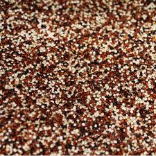 Organic Rainbow Quinoa / lb.