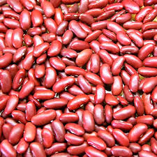 Organic Red Kidney Beans / lb.
