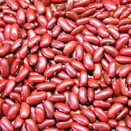 Organic Red Kidney Beans / lb.