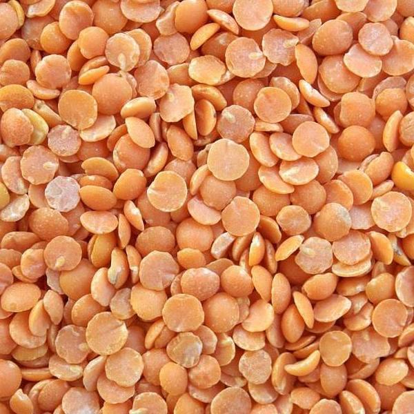 Organic Split Red Lentils / lb.