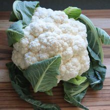 Load image into Gallery viewer, Seasonal Produce Box, Large
