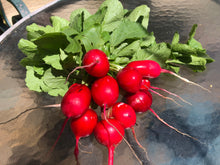 Load image into Gallery viewer, Seasonal Produce Box, Extra Large
