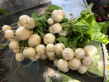 Load image into Gallery viewer, Seasonal Produce Box, Large
