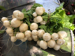 Seasonal Produce Box, Large