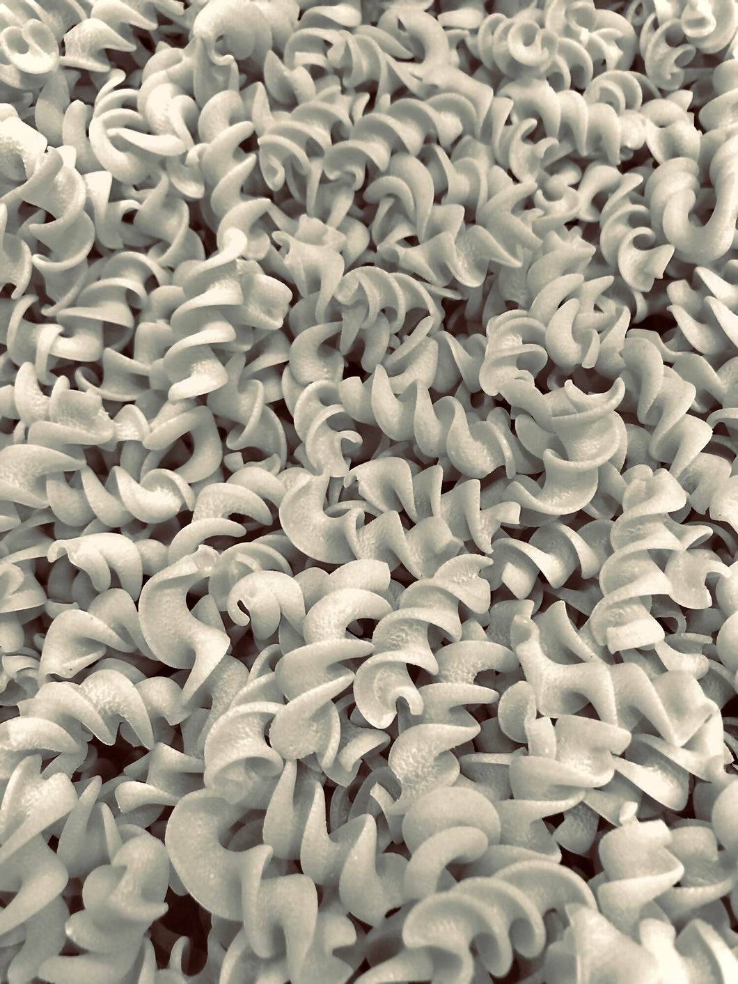 Organic Fusilli Whole Wheat Pasta / lb.