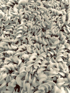 Organic Fusilli Whole Wheat Pasta / lb.