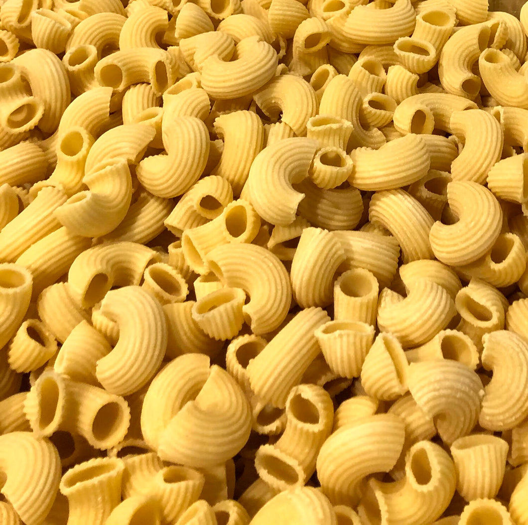 Organic Lumache Pasta / lb.