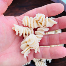 Load image into Gallery viewer, Organic Fusilloni Pasta / lb.

