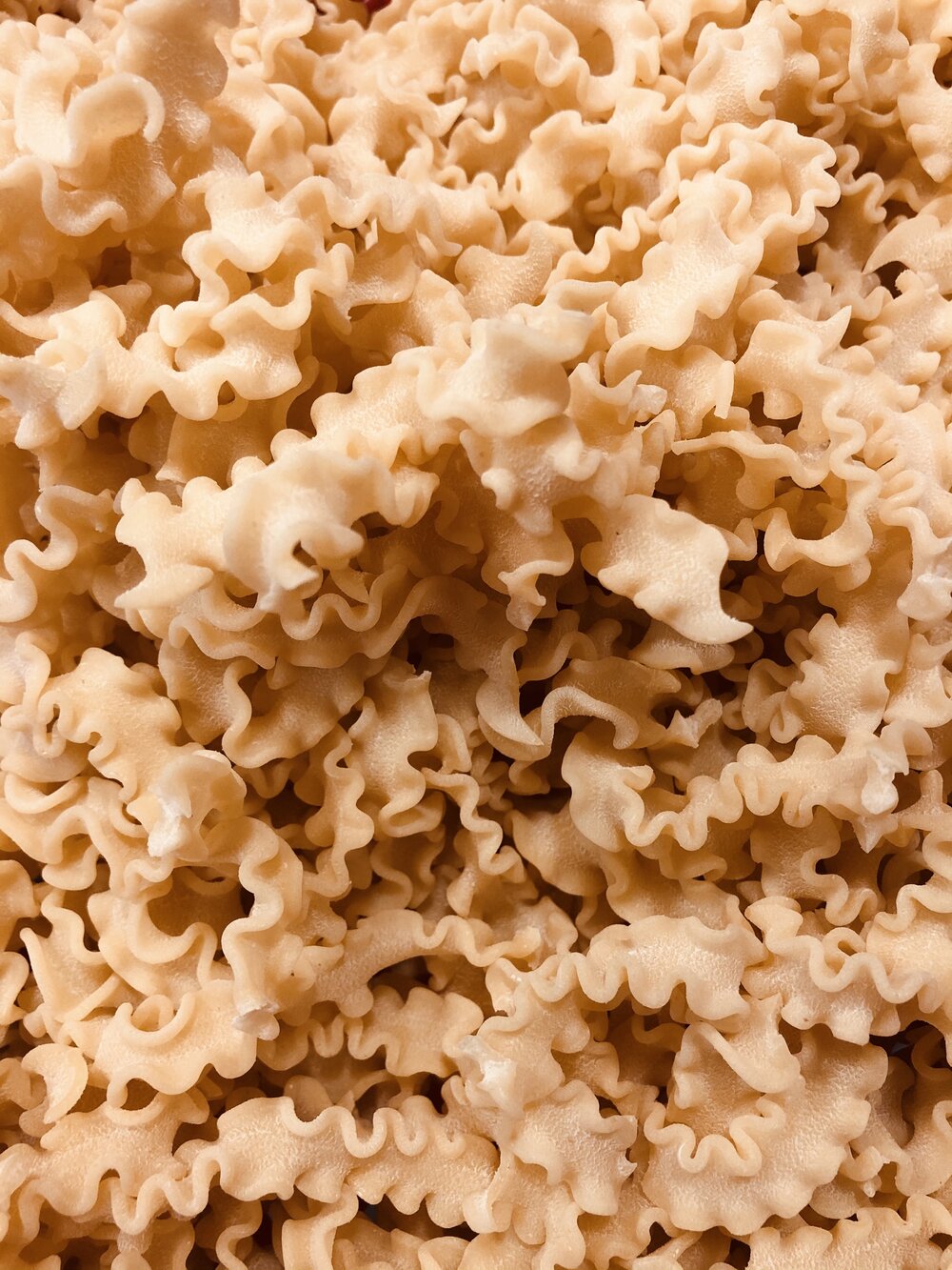 Organic Scarabocchio Pasta / lb.
