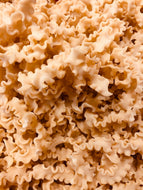 Organic Scarabocchio Pasta / lb.