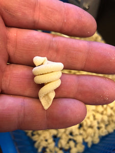 Organic Trotolle Pasta / lb.
