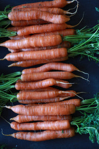 Seasonal Produce Box, Extra Large