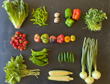 Load image into Gallery viewer, Seasonal Produce Box, Large
